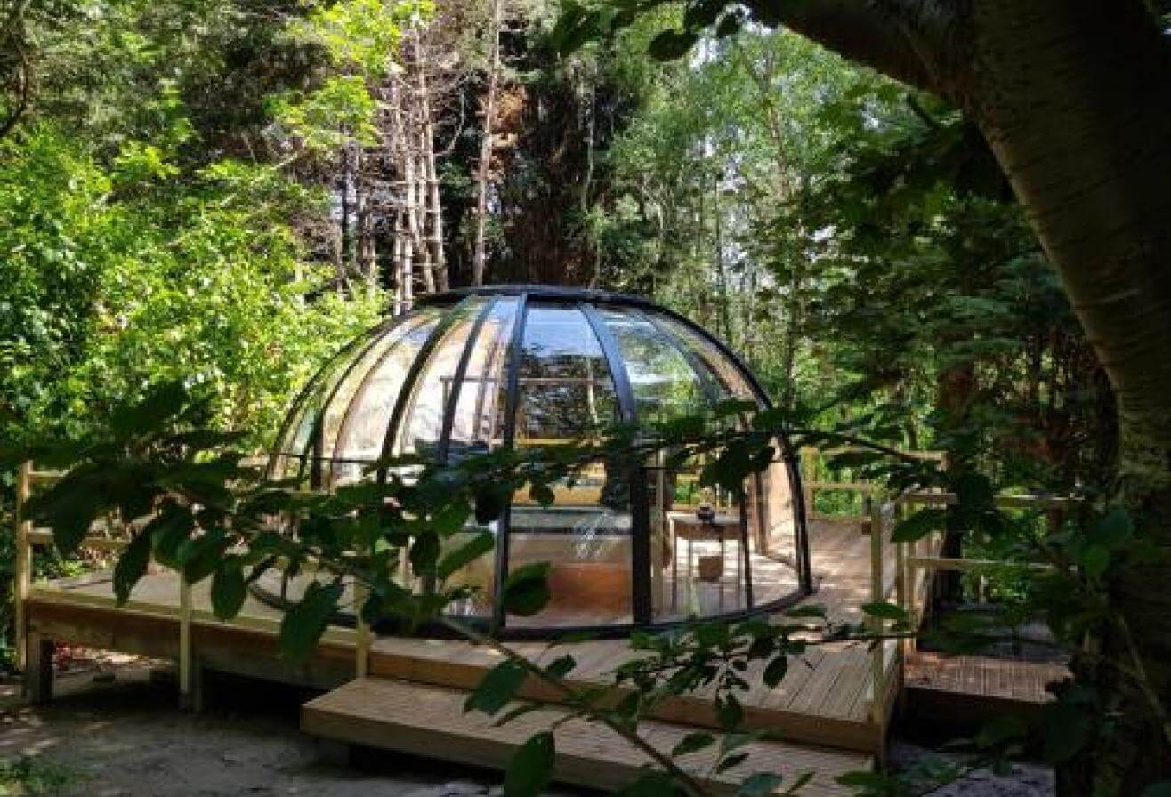 Hébergement insolite en pleine nature avec des animaux en France