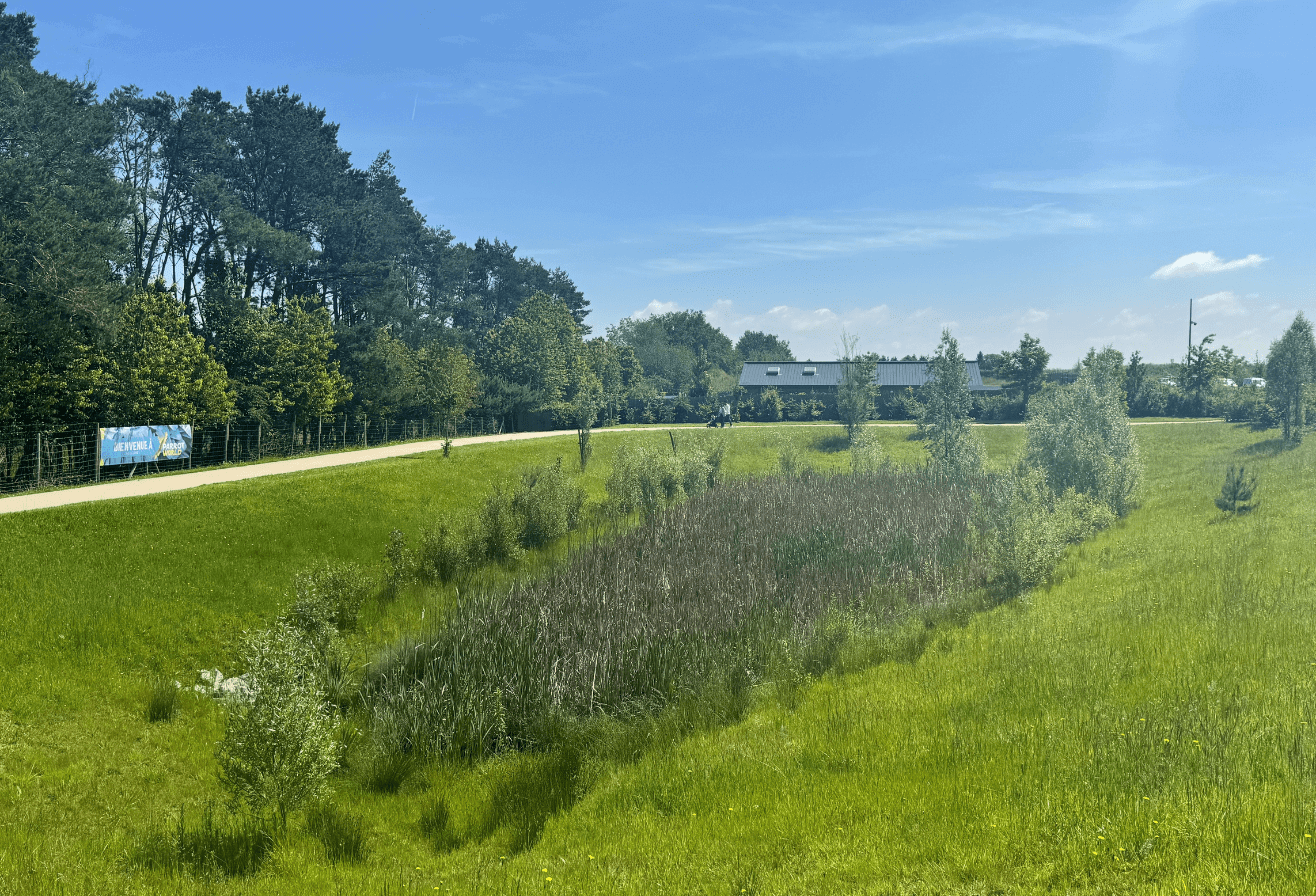 Récupération des eaux de ruissellement