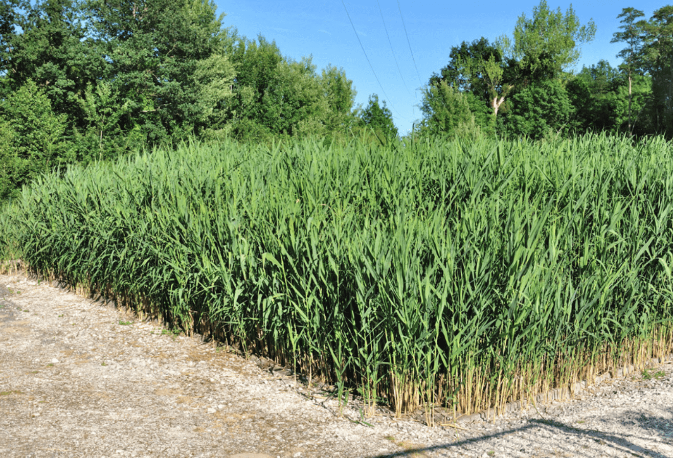 Station d'épuration