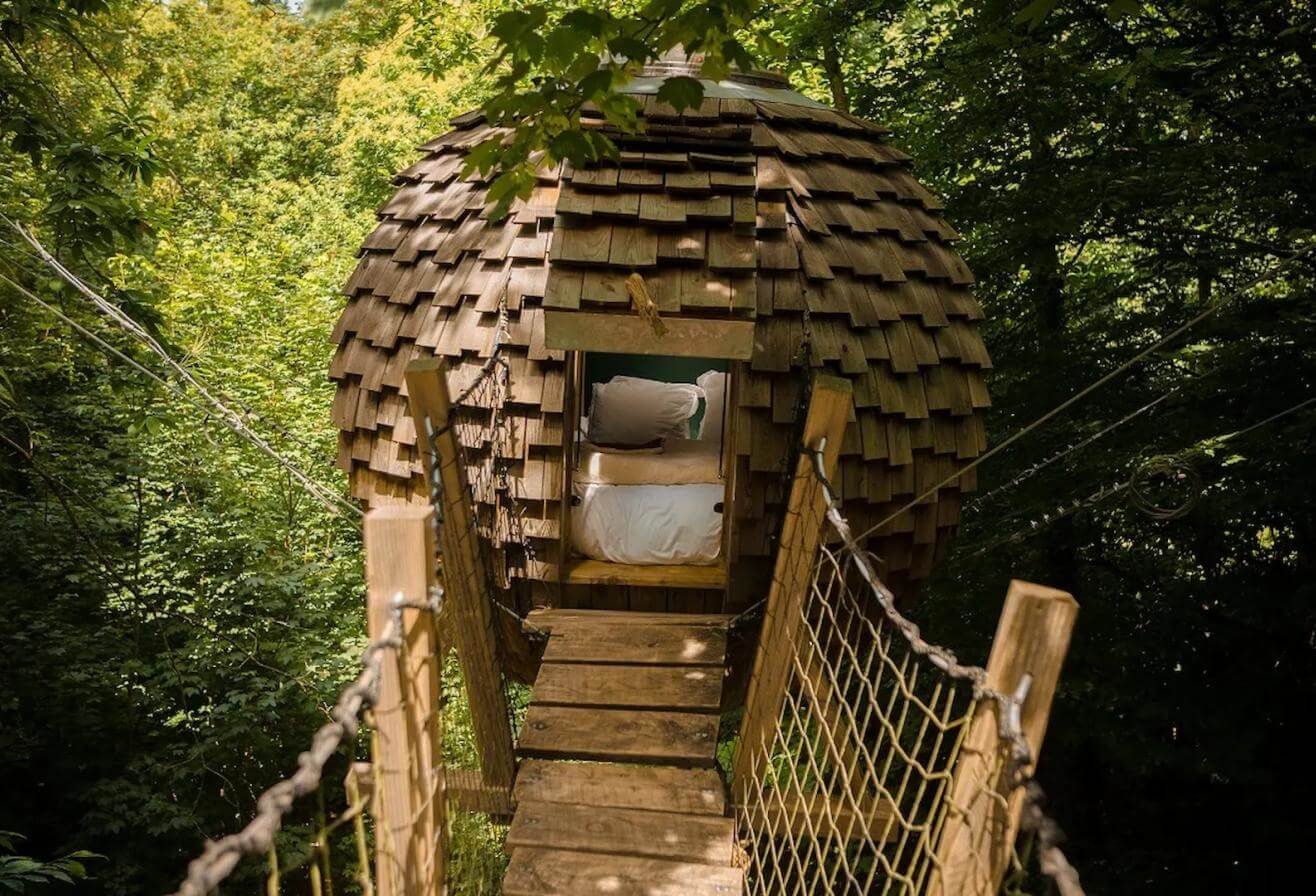 Dormir avec les animaux dans les arbres - Nuit en cabane insolite