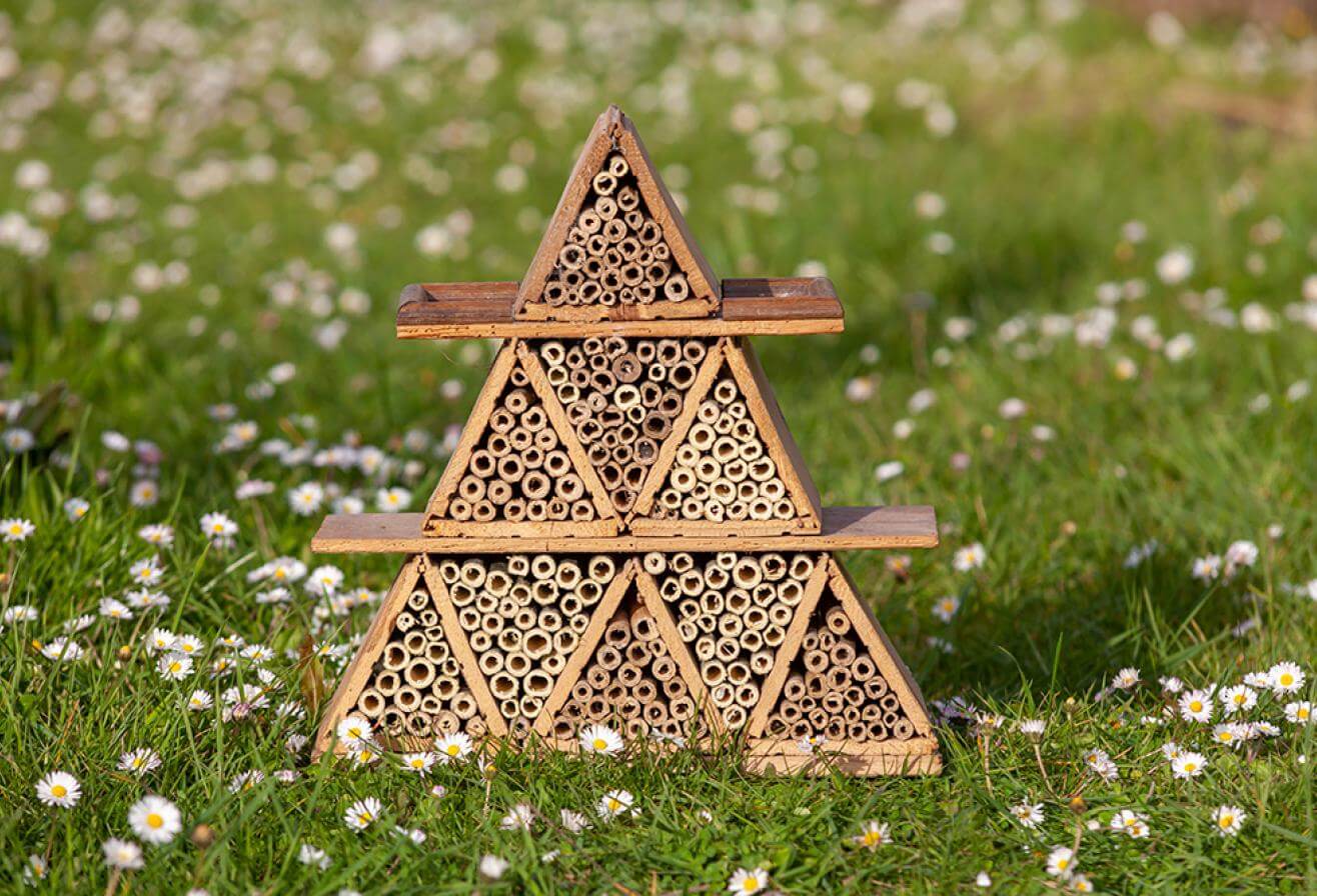 Chemin de la biodiversité