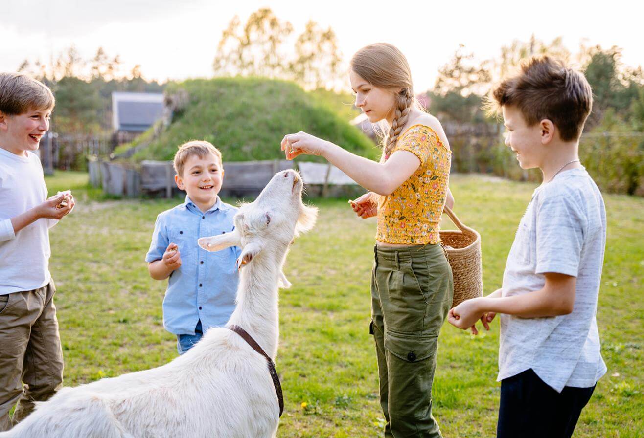 OFFRE ANNIVERSAIRE VIP