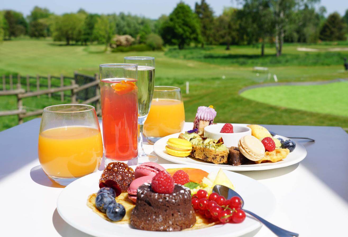 brunch panoramic parrot world