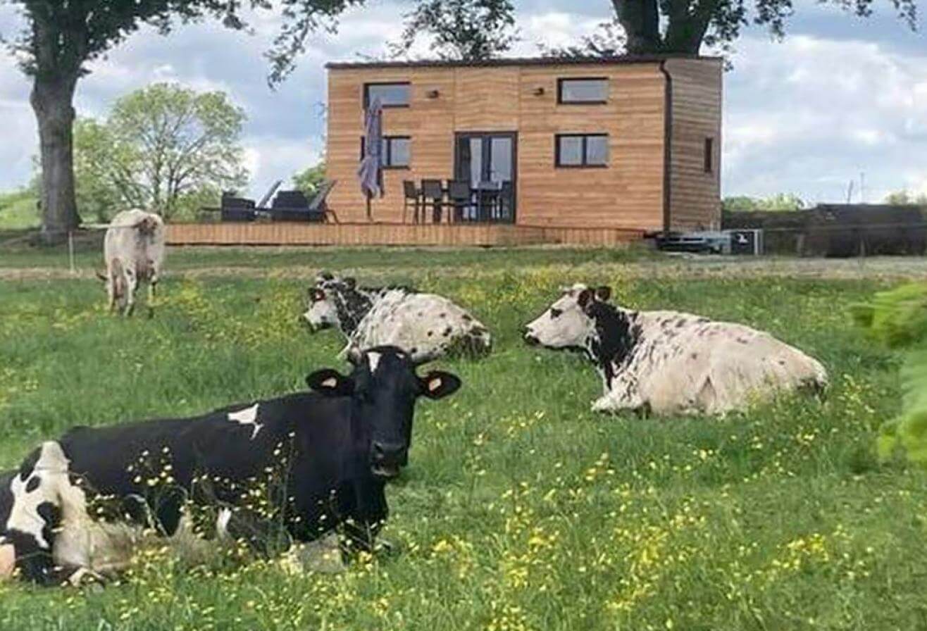 Dormir avec les animaux en France - Hébergement insolite - Famille - Animaux de la ferme
