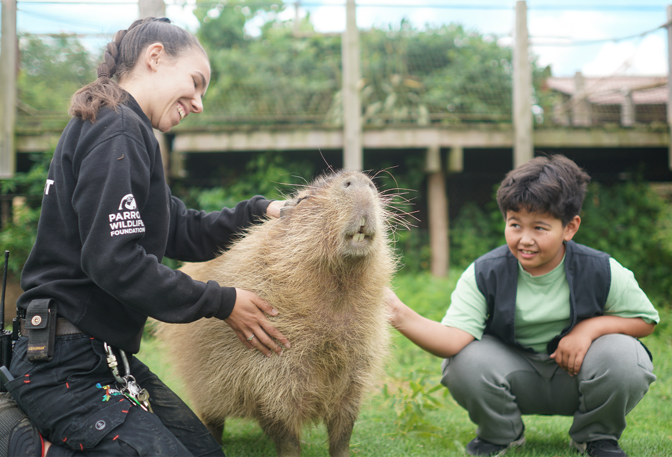 Halloween à Parrot World - Animation Soigneur d'un Jour avec les capybaras en Île-de-France près de Paris