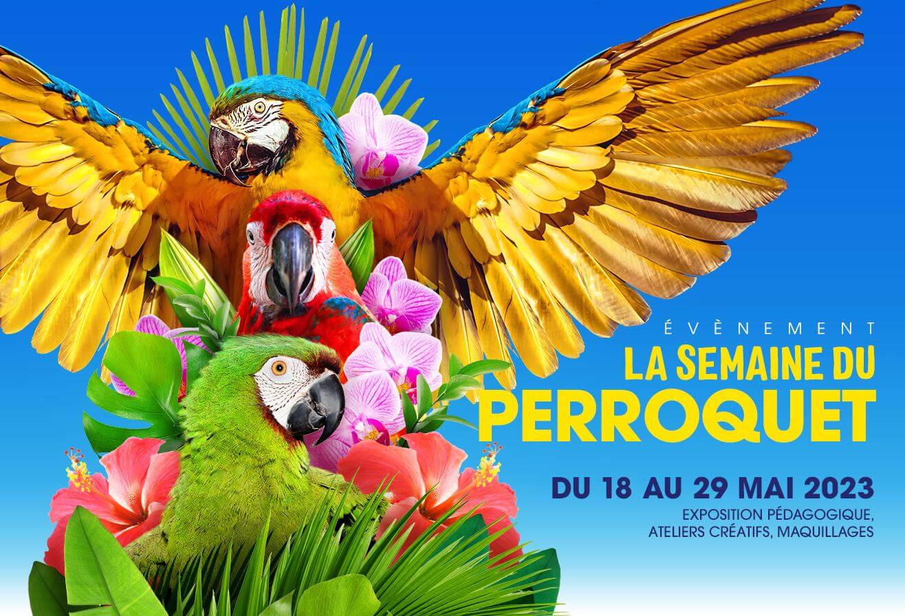 Semaine_Du_Perroquet2023_Encart_Push