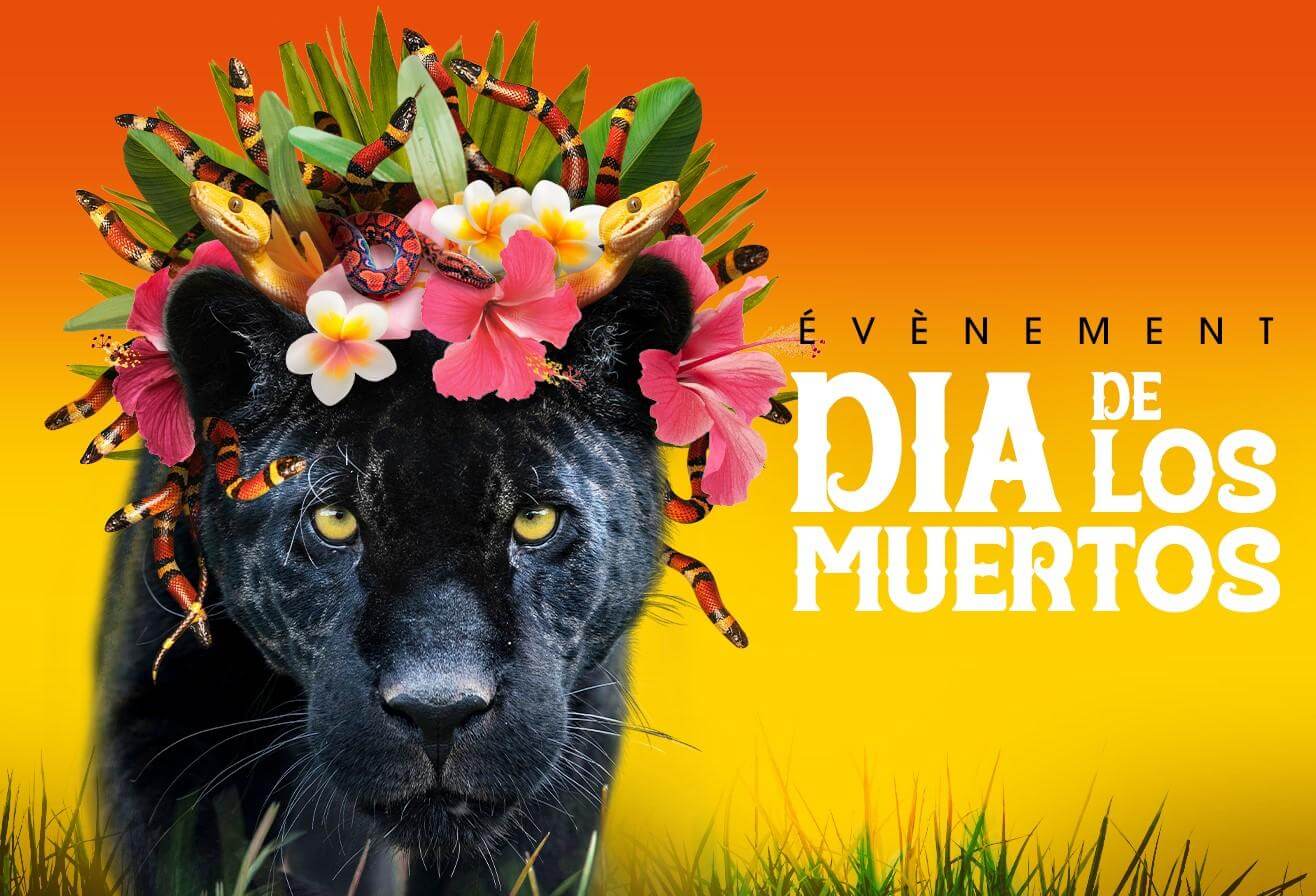 Dia De Los Muertos 2023 Parrot World 2