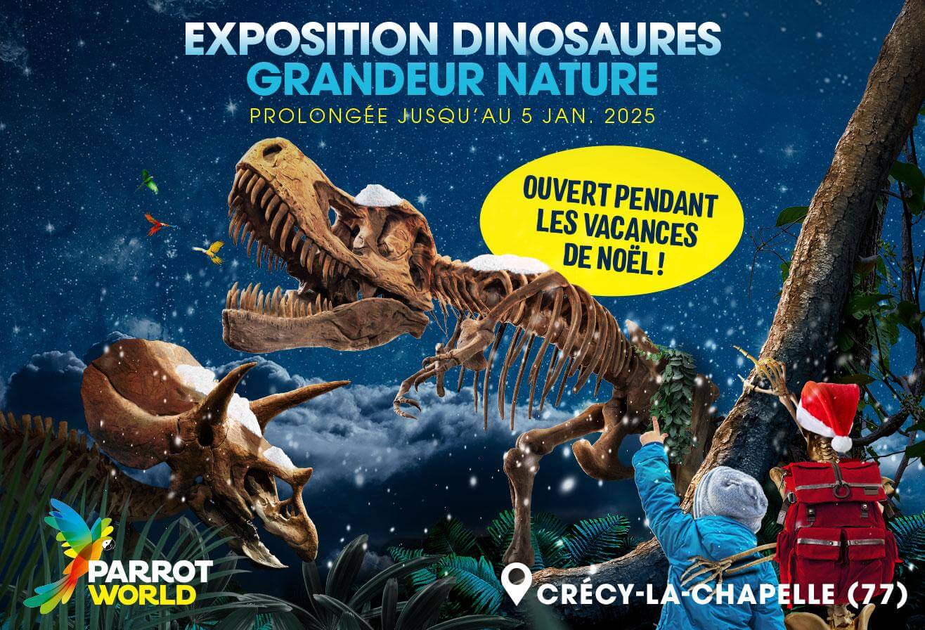 Noel_2024_Encart_Push_1316x896px_Pour_Media