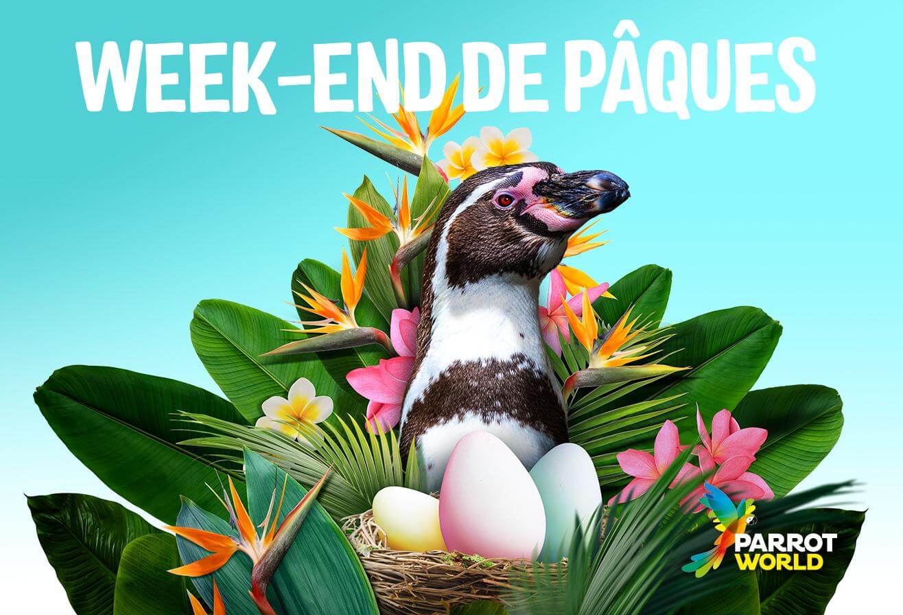 Pâques 2025 Parrot World - Chasse aux oeufs