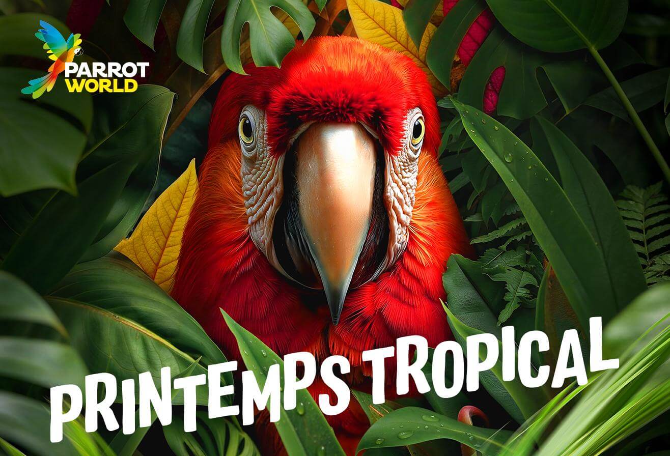 Vacances Printemps 2026 à Parrot World - Printemps Tropical
