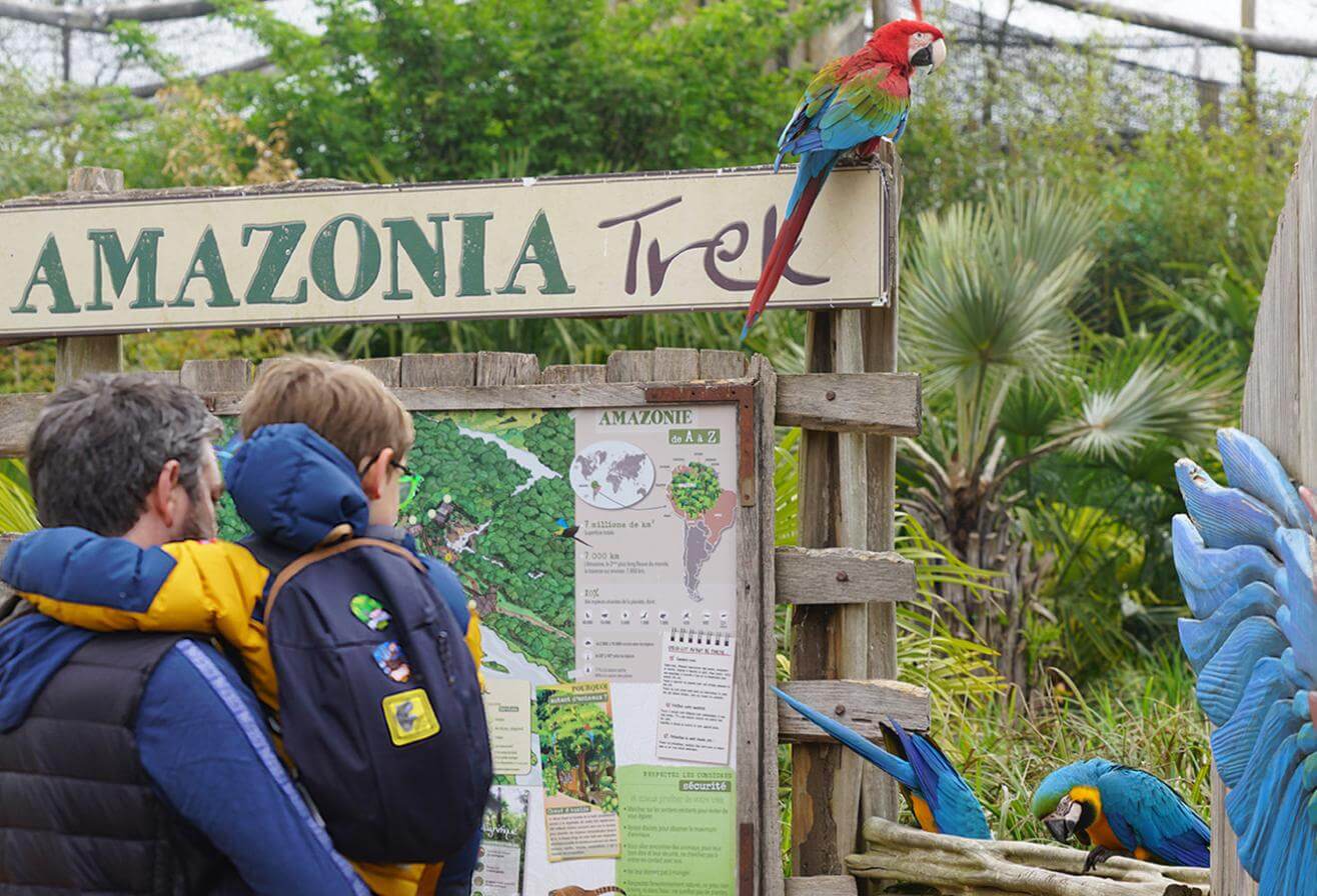 Chasse aux oeufs 2026 - Parc animalier immersif proche du 93 - Parrot World décor Amérique du Sud