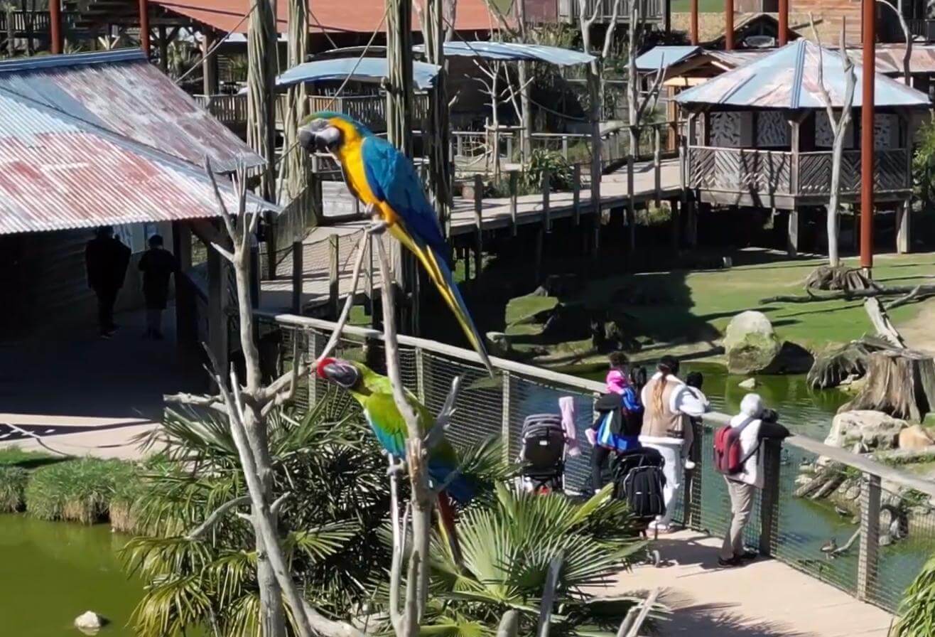 Parc animalier proche de Paris avec volière immersive géante - Parrot World décor Amérique du Sud