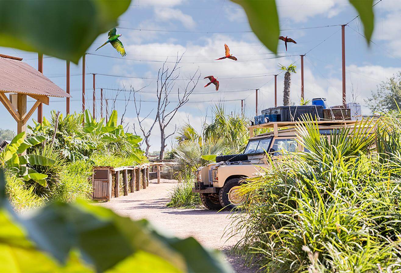 Parrot World - Activité sortie scolaire - À la découverte des oiseaux de Parrot World - CYCLE 3