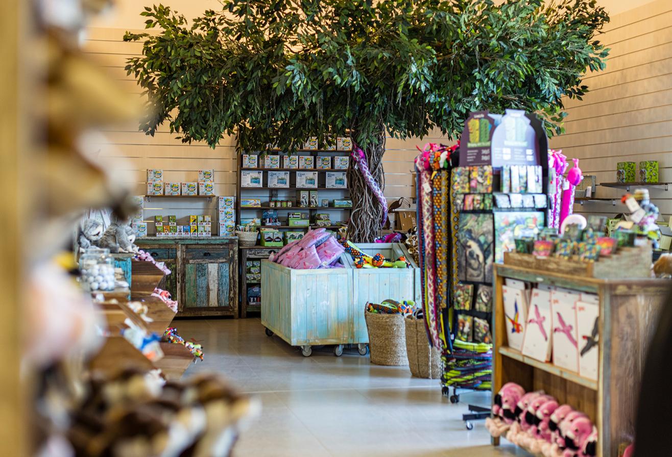 Parrot World - Boutique 1 ©Ronan ROCHER