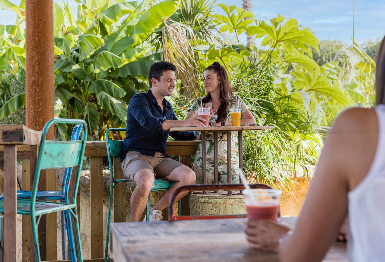 Carbet-Manger : restauration à Parrot World. Le parc animalier immersif proche de Paris - Décor Amérique du Sud