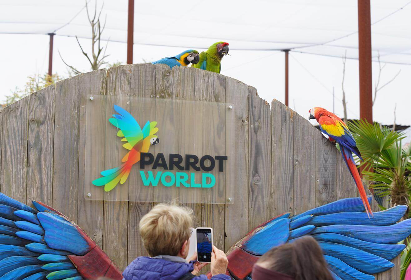 Parrot World - Immersion perroquets visiteur