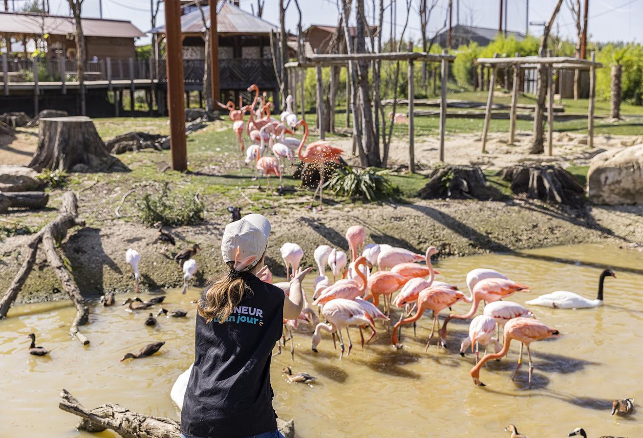 Parrot World - Soigneur d'un Jour 10 ©Ronan ROCHER