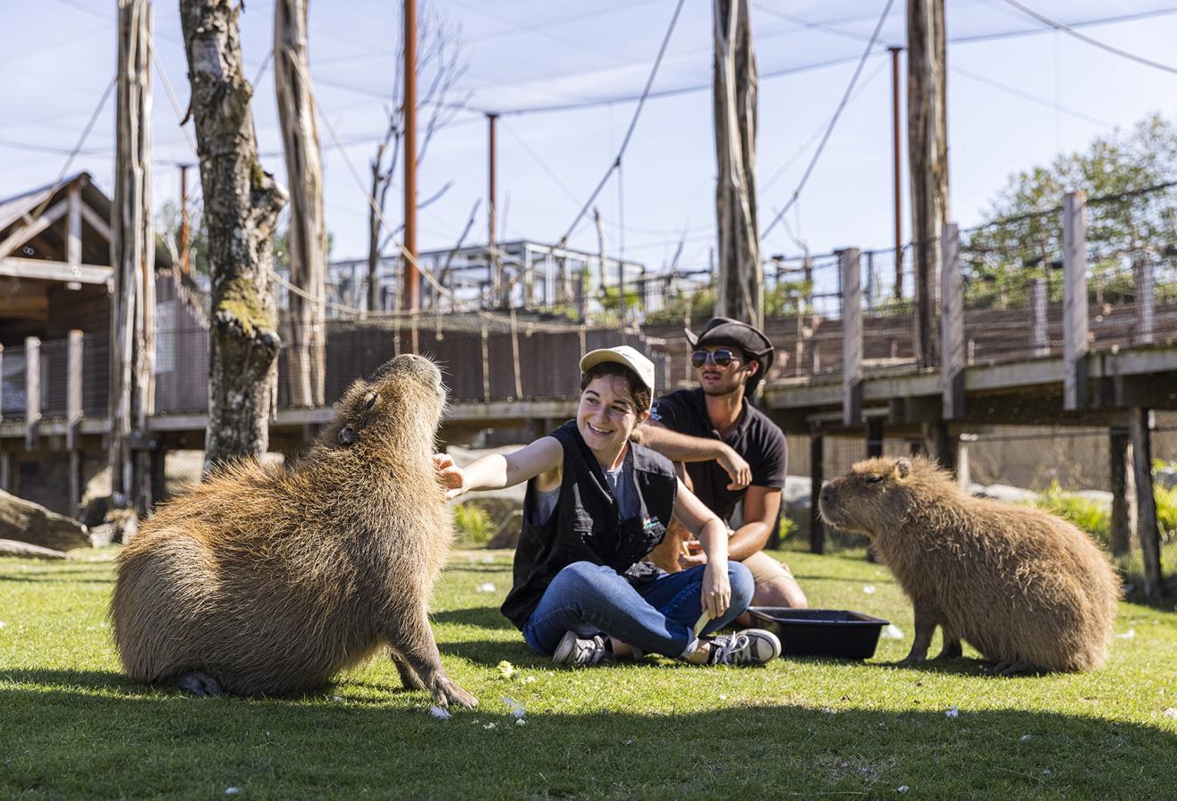Parrot World - Soigneur d'un Jour 4 ©Ronan ROCHER