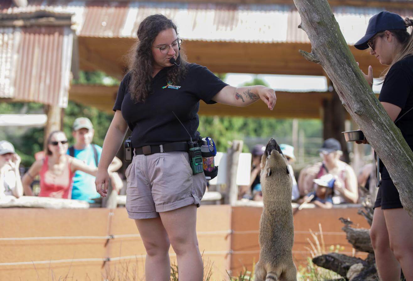 Parrot World - animation