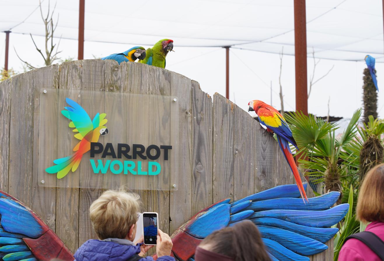 Parrot World parc animalier immersif - Volière géante d'Amazonie - Groupe face à des perroquets - Que faire autour de Disneyland Paris - Le Guide Complet