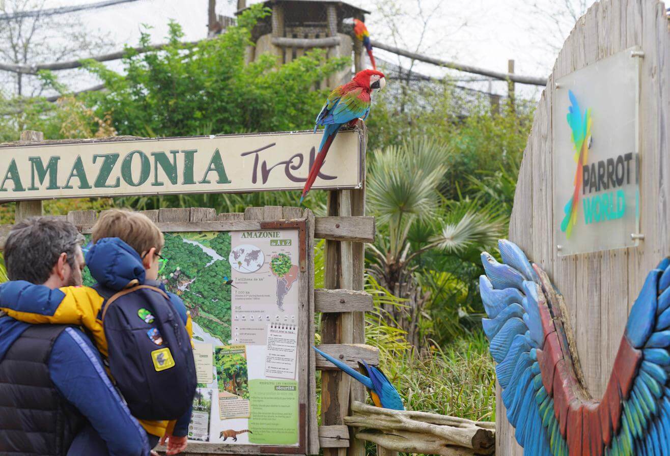 visite immersive animaux perroquets