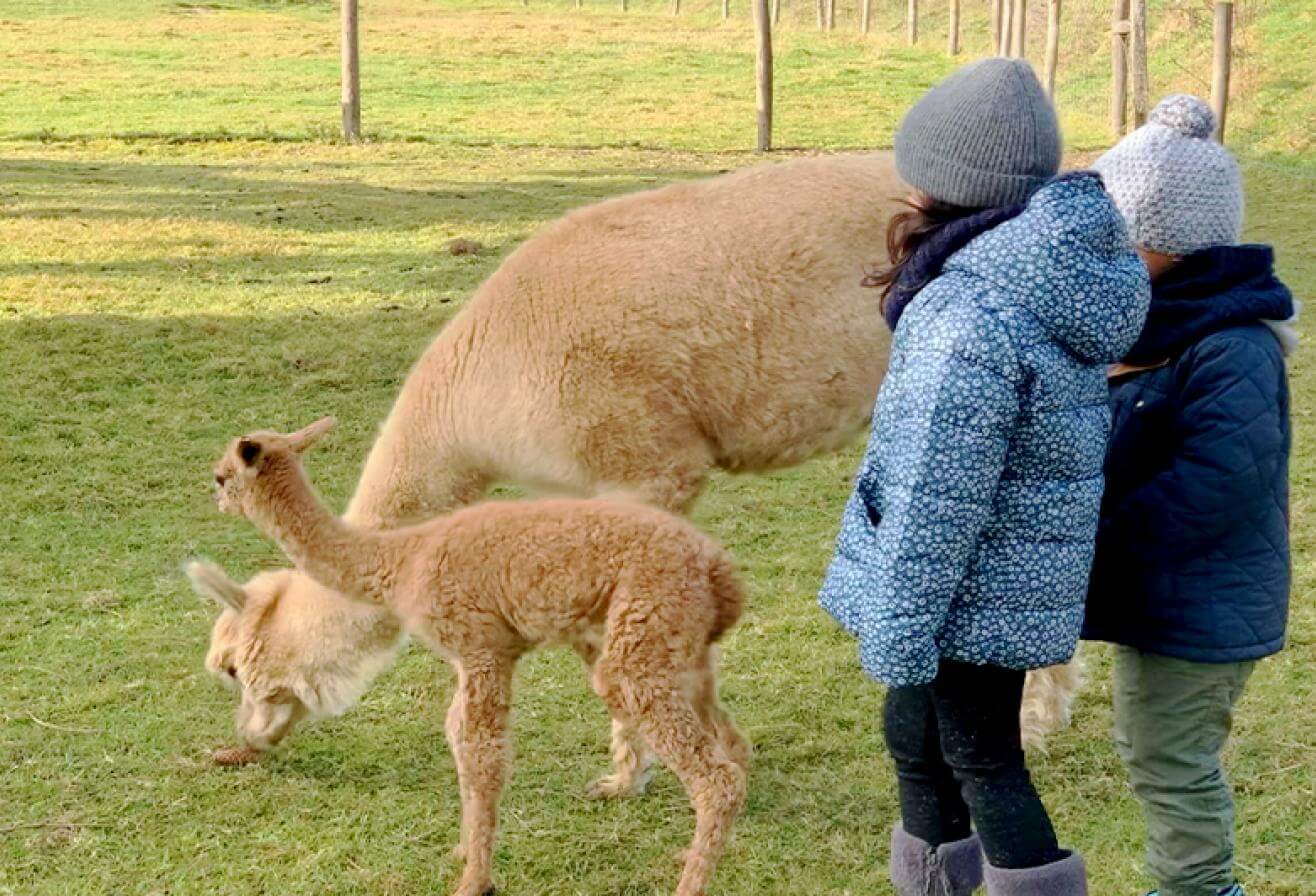 Ranch des Enfants Parrot World