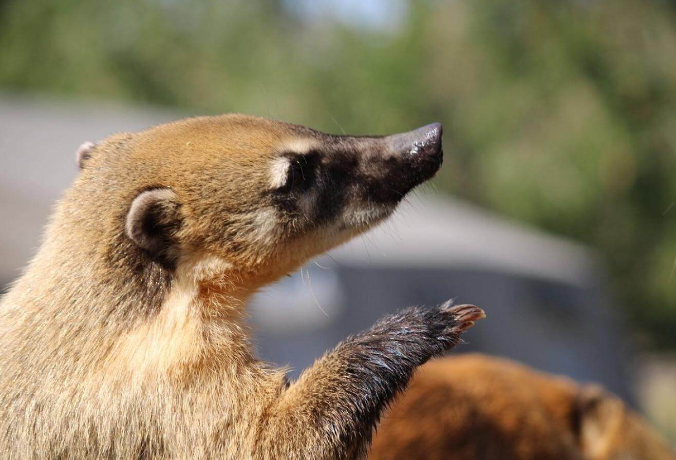 Vanessa E - Avis Trip Advisor