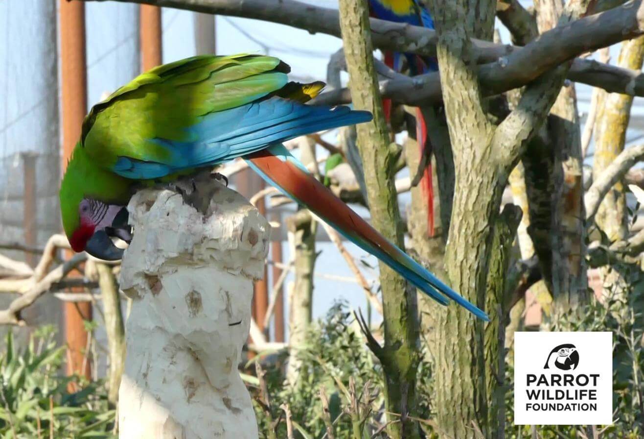 ara sculpture don pwlf web.jpg