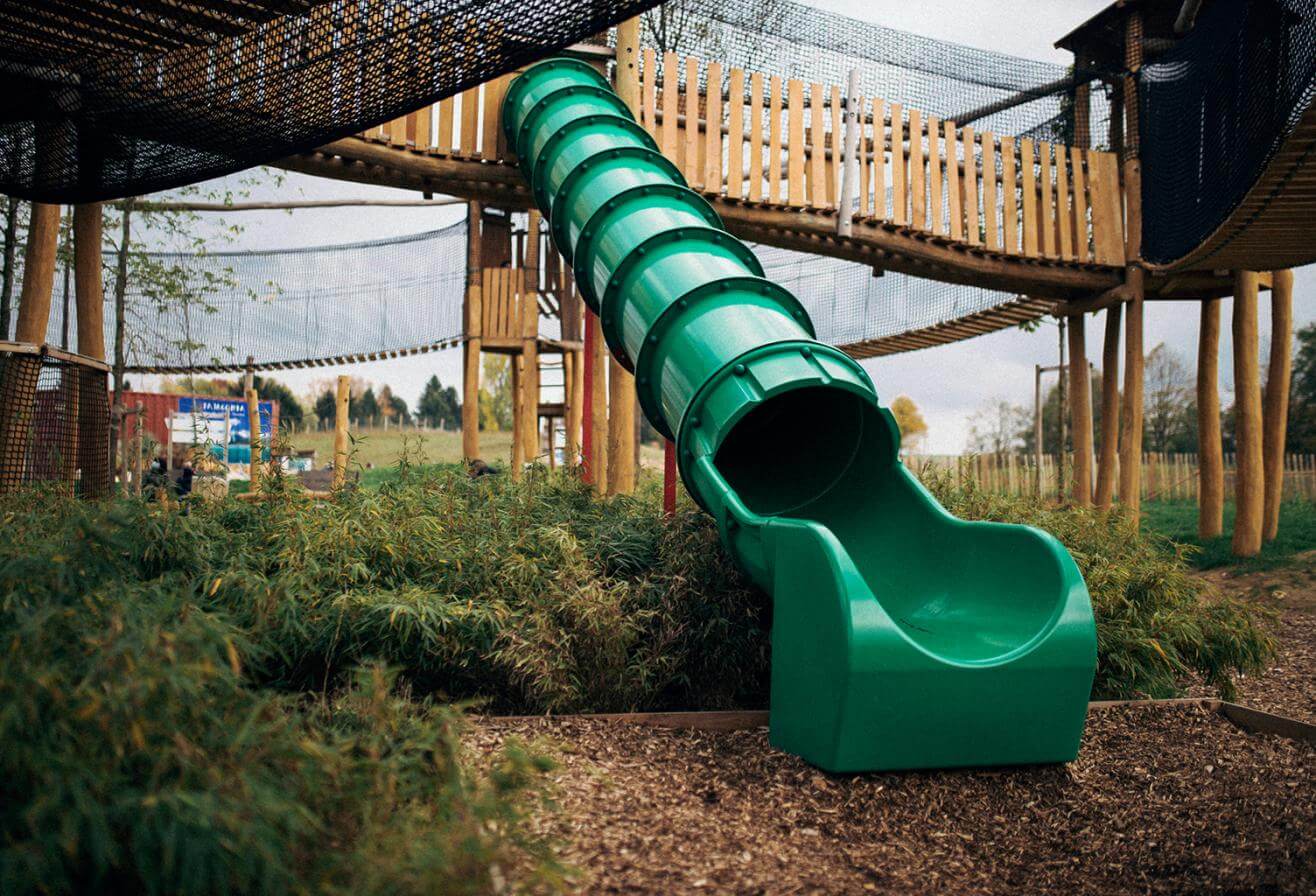 parrotworld-radeau descimes