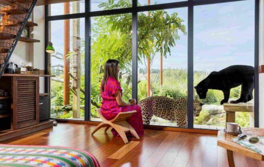 Nuit au zoo près de Paris face aux jaguars dans un lodge Parrot World