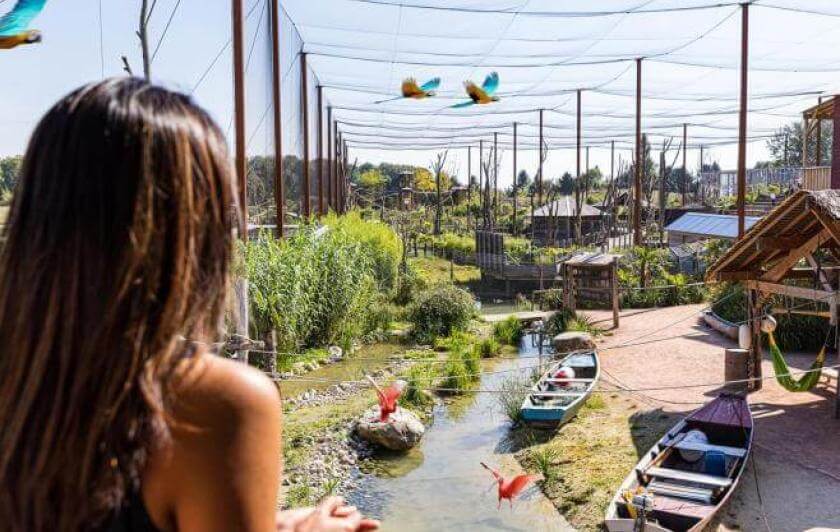 Dormir avec les animaux au zoo près de Paris avec vue sur les perroquets