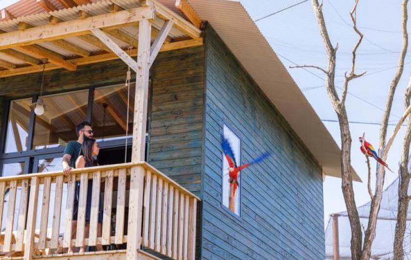 Dormir au milieu des animaux près de Paris dans un lodge avec vue sur les perroquets