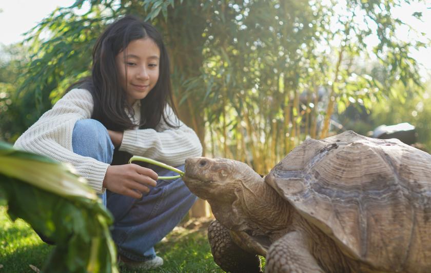 Activité Nourrir les Tortues à Parrot World - Que faire pour les vacances d'été 2026 en Île-de-France