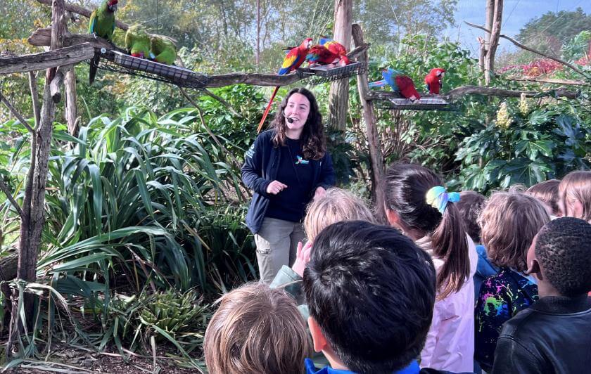 Animation pédagogique - Sortie Scolaire avec Animaux - Parrot World Parc animalier immersif en Île-de-France