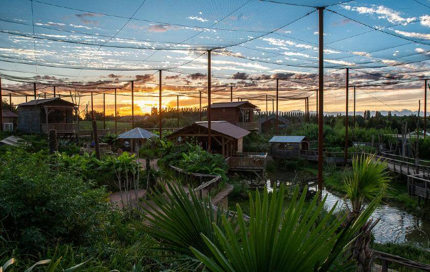 Couché de soleil à Parrot World 77 - Que faire pour le pont de l'Ascension 2026 en Île-de-France