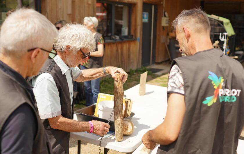Atelier création enrichissements pour les perroquets - Week-end du perroquet
