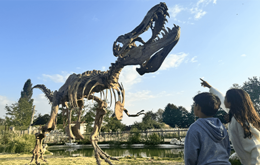 Exposition dinosaures Parrot World Dia de los Muertos 2024