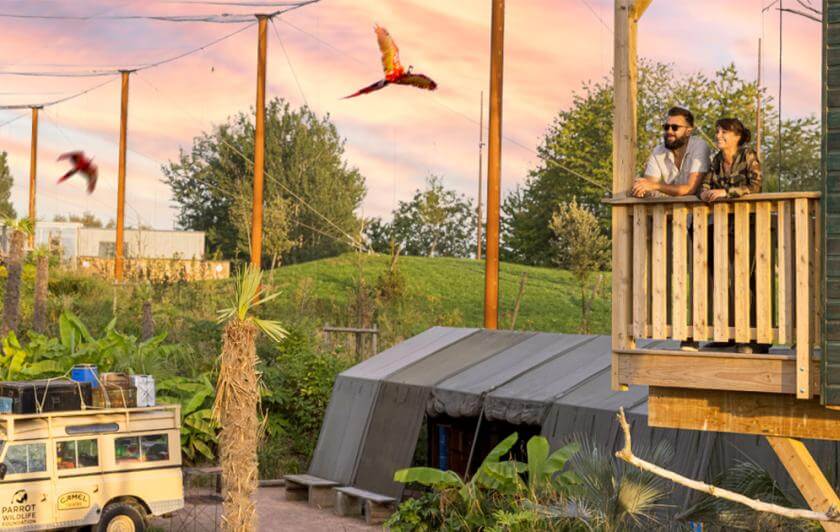 Dormir avec les animaux dans un hébergement insolite à Parrot World avec vue sur les perroquets