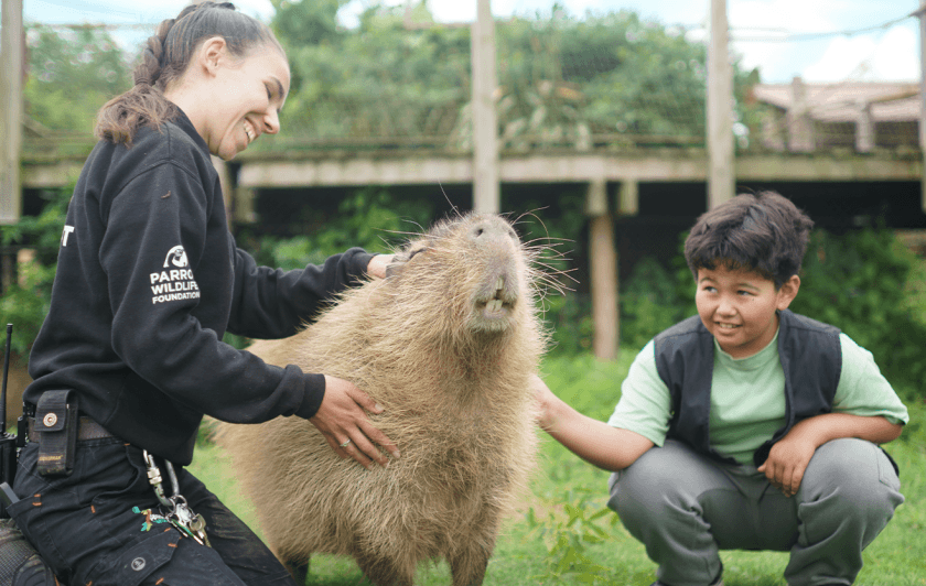 Halloween à Parrot World - Animation Soigneur d'un Jour avec les capybaras en Île-de-France près de Paris