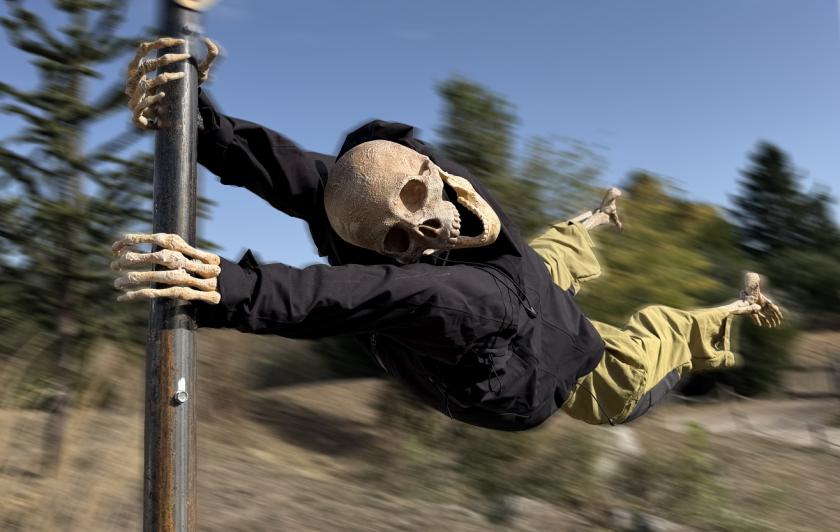 Halloween à Parrot World - squelettes humoristiques de Día de los Muertos 2026 en Île-de-France près de Paris