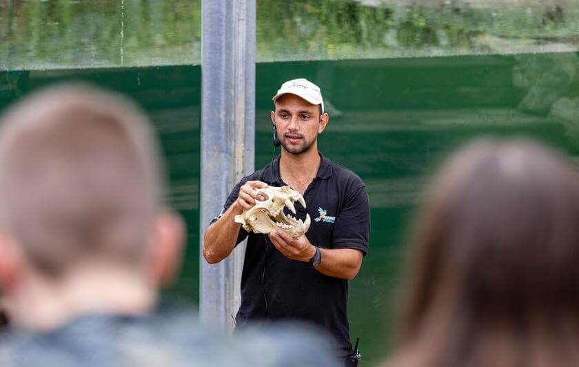 Parrot World - Animation 2 ©Ronan ROCHER