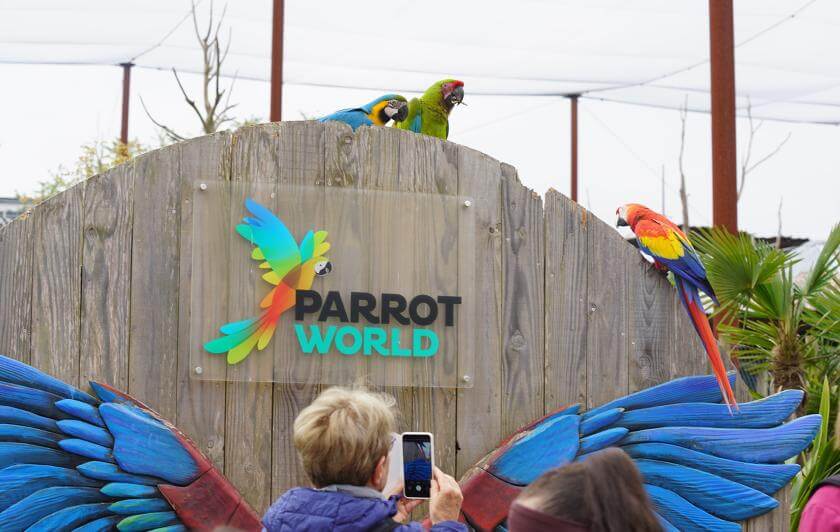 Parrot World - Immersion perroquets visiteur