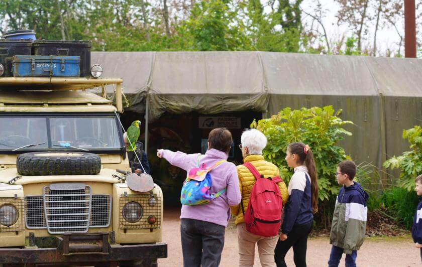 Parrot World - Immersion 18