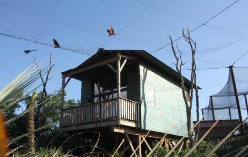 Dormir avec les animaux près de Paris dans un lodge immersif à Parrot World