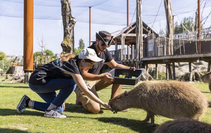 Parrot World - Soigneur d'un Jour 3 ©Ronan ROCHER