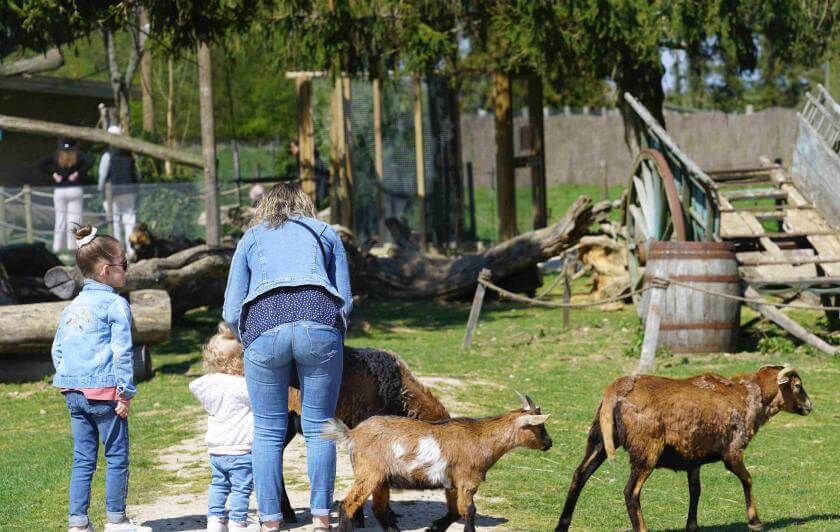Parrot World parc animalier immersif 77 - Mini-ferme immersive - Que faire pour le pont de l'Ascension 2026 en Île-de-France