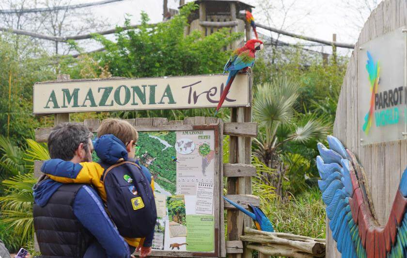 visite immersive animaux perroquets