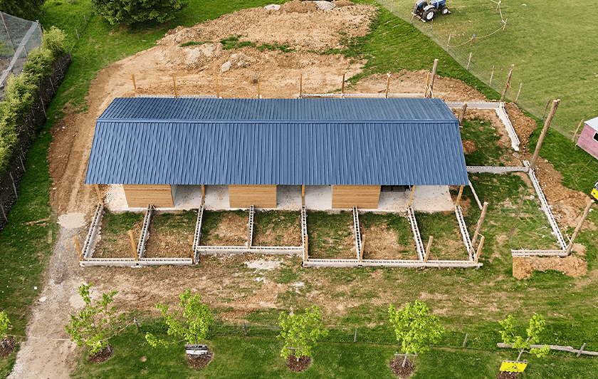 Sanctuaire de la Parrot Wildlife Foundation