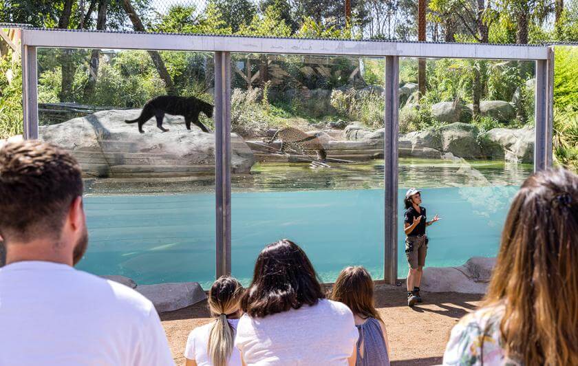 Parc animalier immersif proche de Paris avec animations pédagogiques - Parrot World décor Amérique du Sud