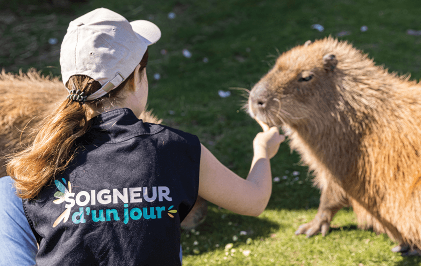 Soigneur animalier Parrot World - 7 - Soigneur d'un Jour